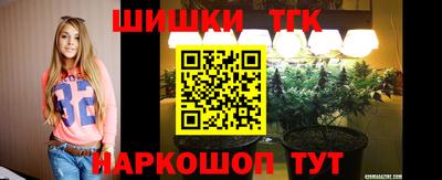 круглые Камышлов