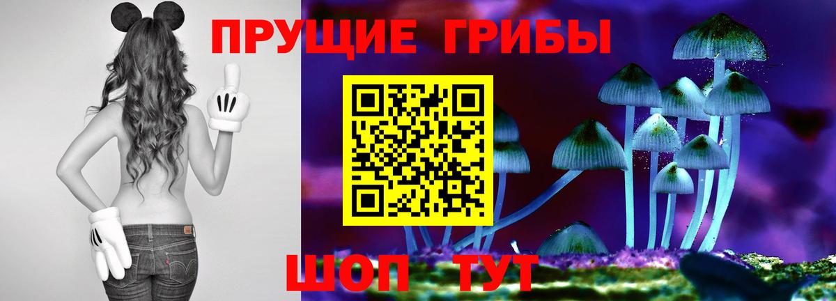 Галлюциногенные грибы Magic Shrooms Коркино