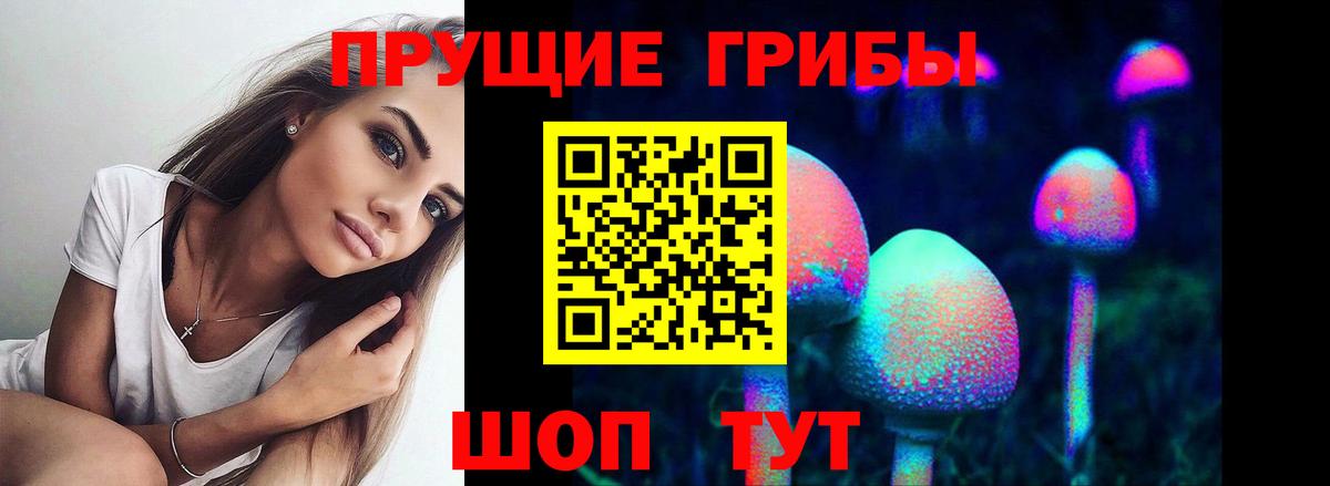 Псилоцибиновые грибы Magic Shrooms  Вход с VPN  Коркино 